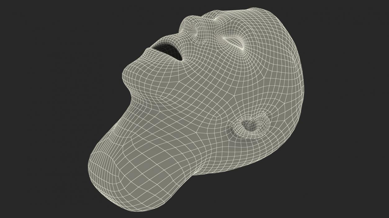 Manikin Head 3D