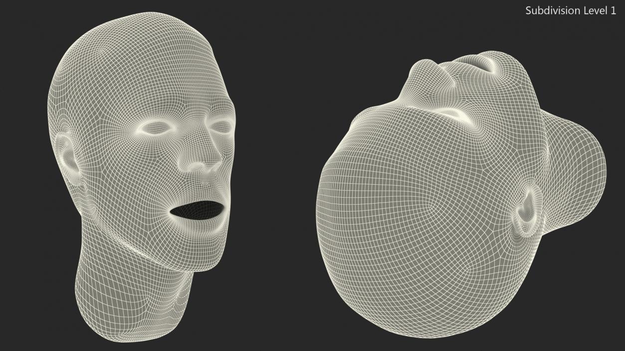 Manikin Head 3D