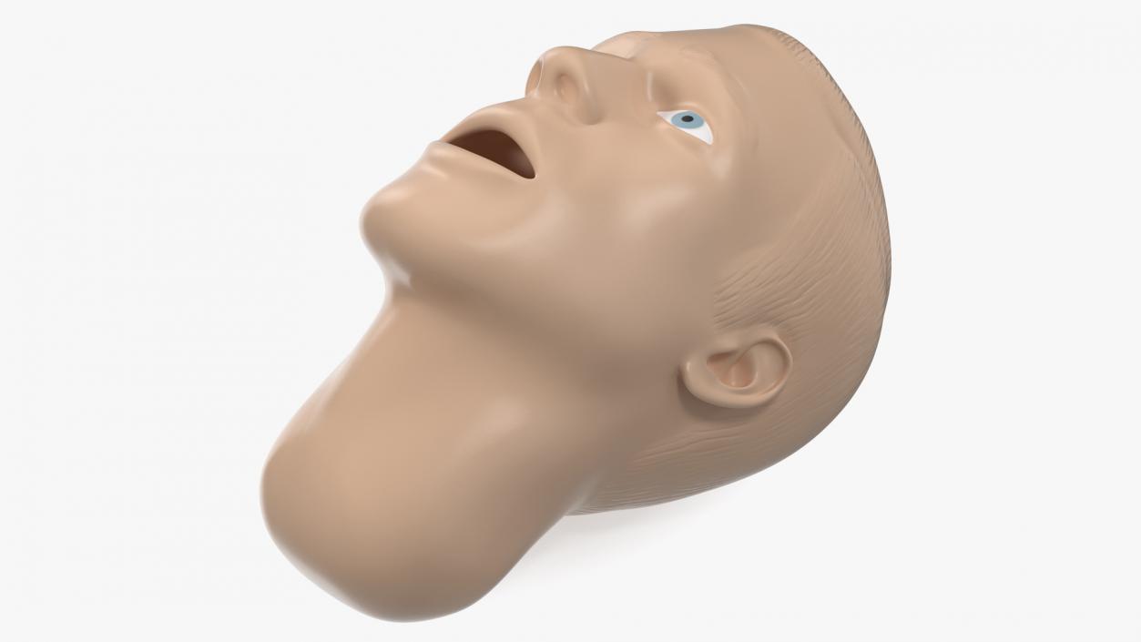 Manikin Head 3D