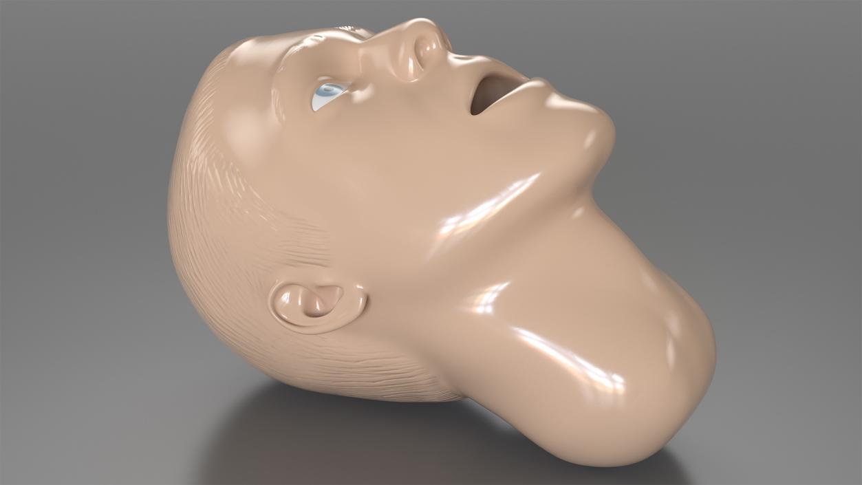 Manikin Head 3D