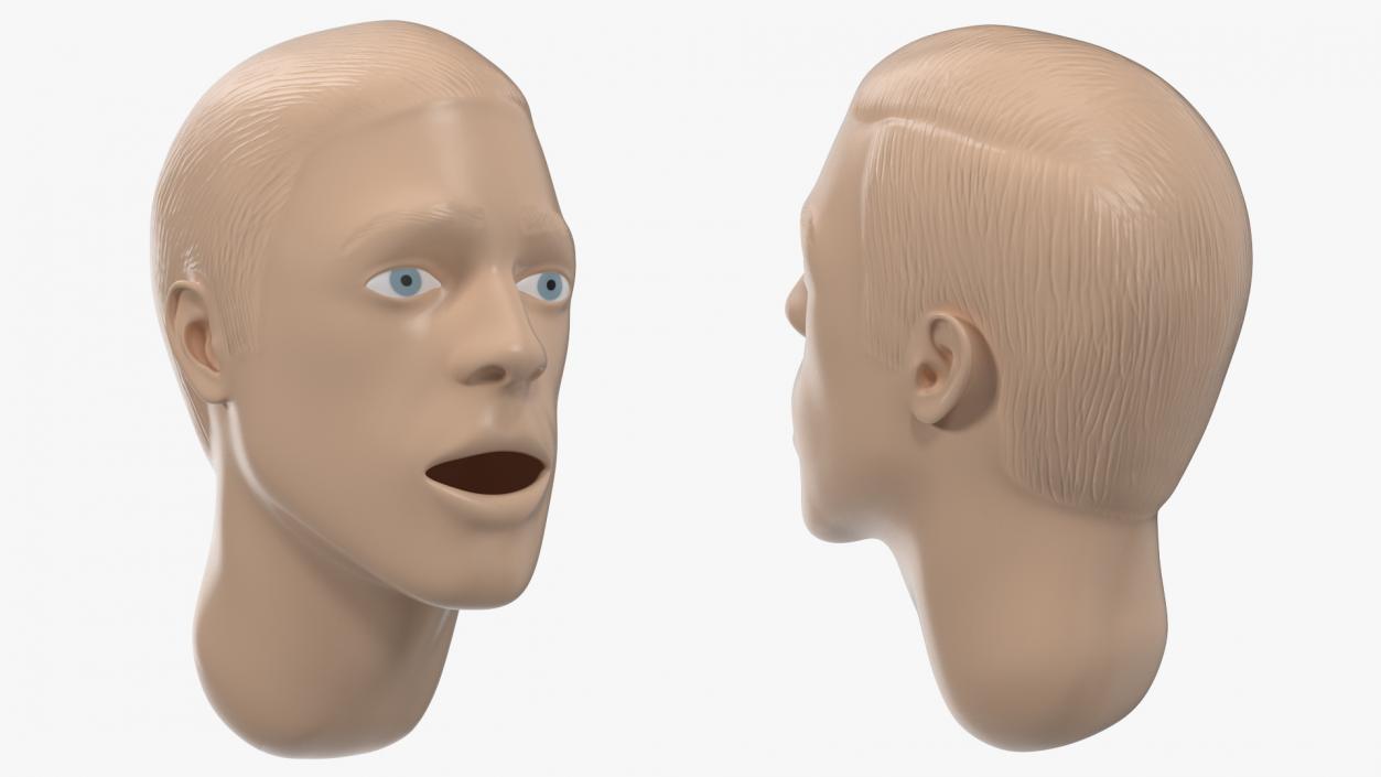 Manikin Head 3D