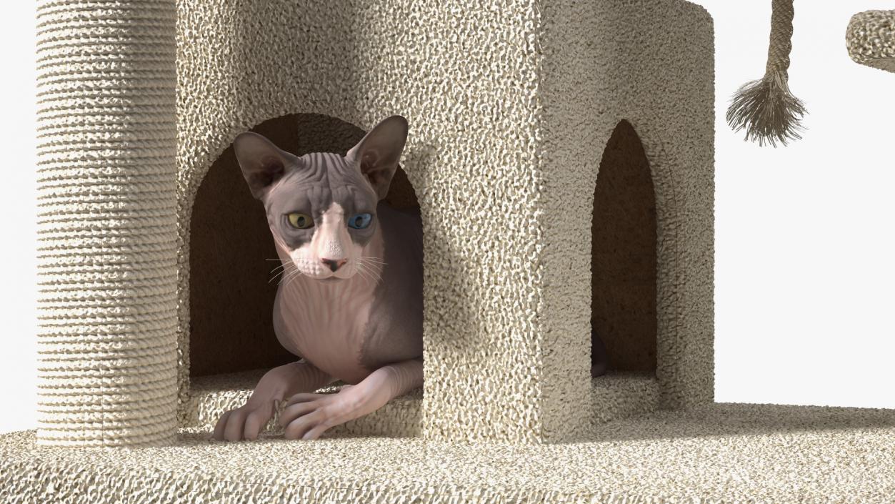 3D model Cat Tree 5-Level with Cat