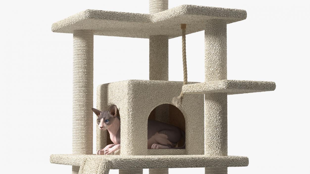 3D model Cat Tree 5-Level with Cat