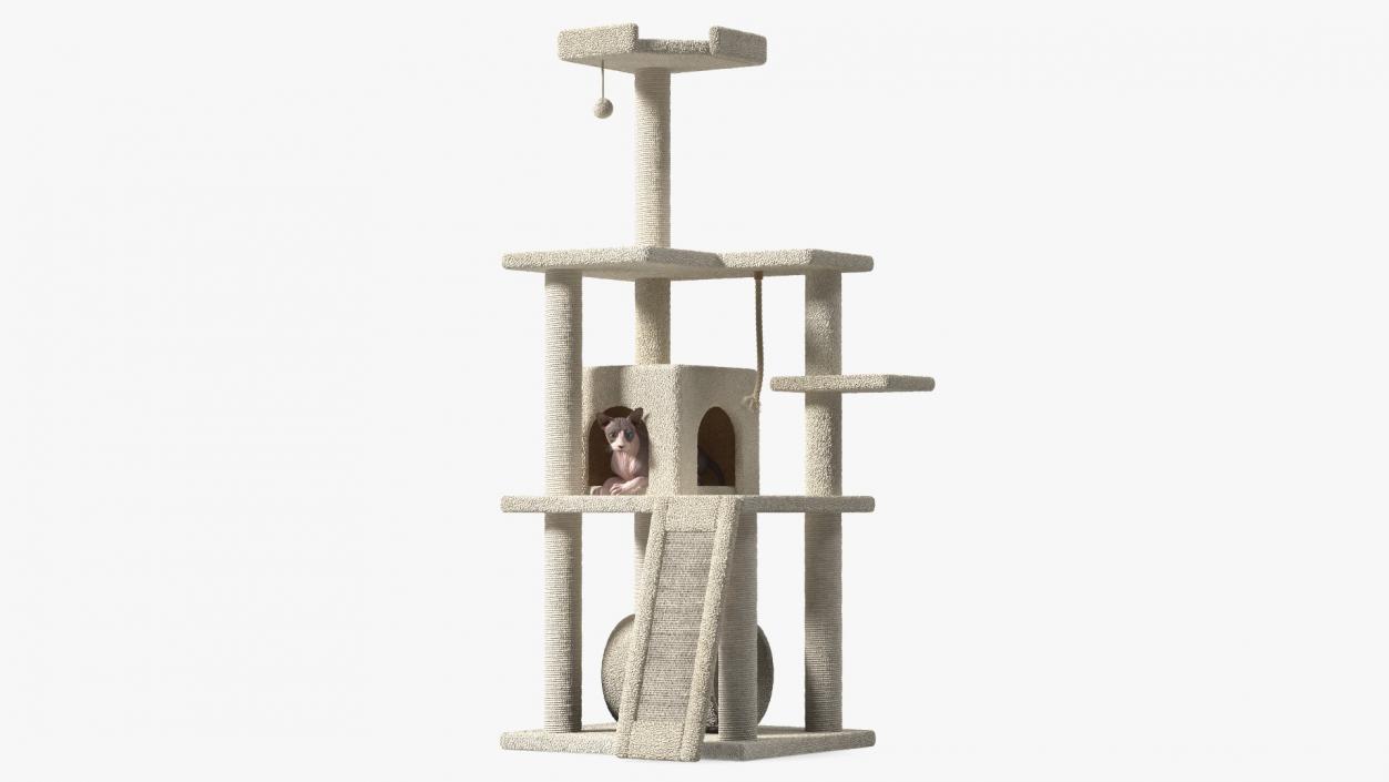 3D model Cat Tree 5-Level with Cat