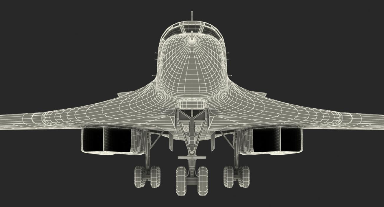 3D Strategic Bomber Tupolev Tu-160 Blackjack Rigged model