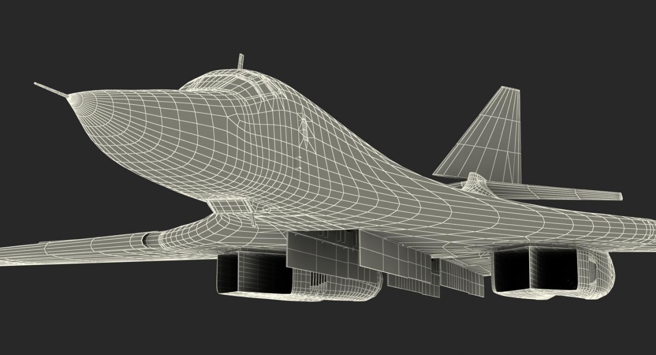 3D Strategic Bomber Tupolev Tu-160 Blackjack Rigged model