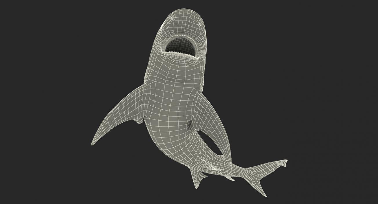 3D Rigged Sharks Big Collection model