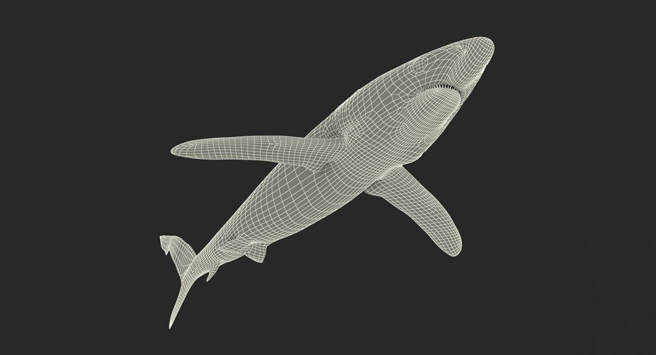 3D Rigged Sharks Big Collection model