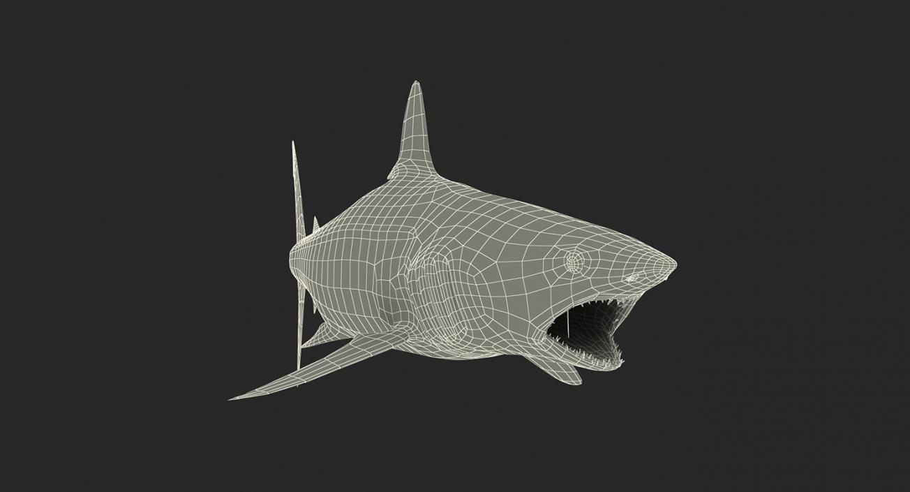 3D Rigged Sharks Big Collection model