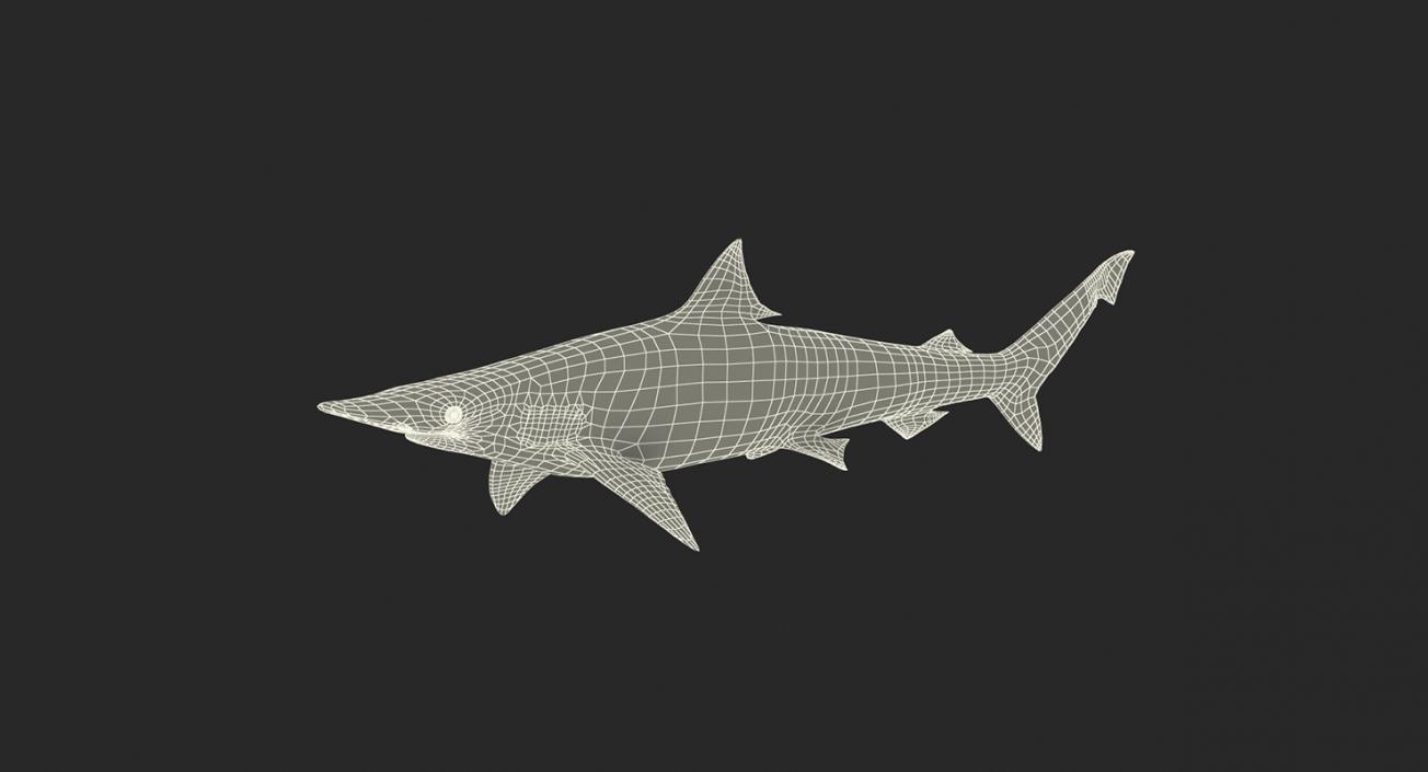 3D Rigged Sharks Big Collection model