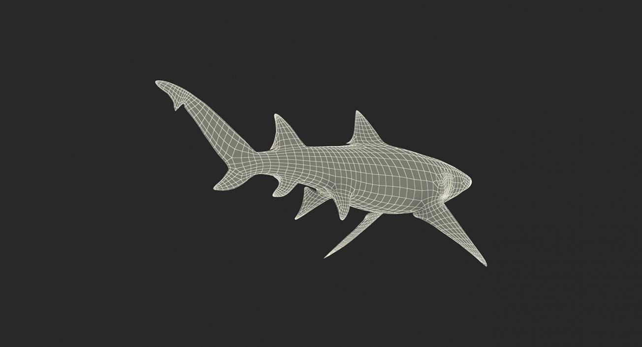 3D Rigged Sharks Big Collection model