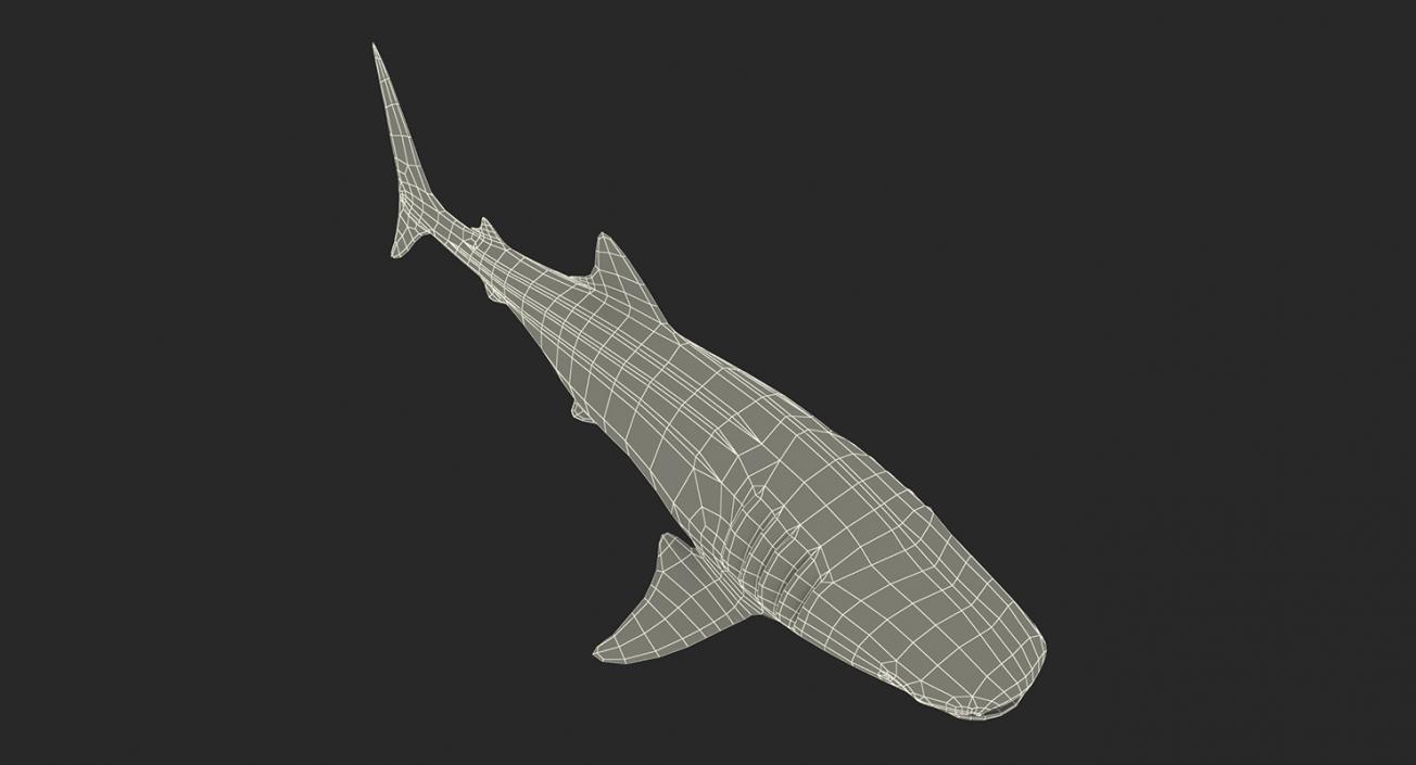 3D Rigged Sharks Big Collection model