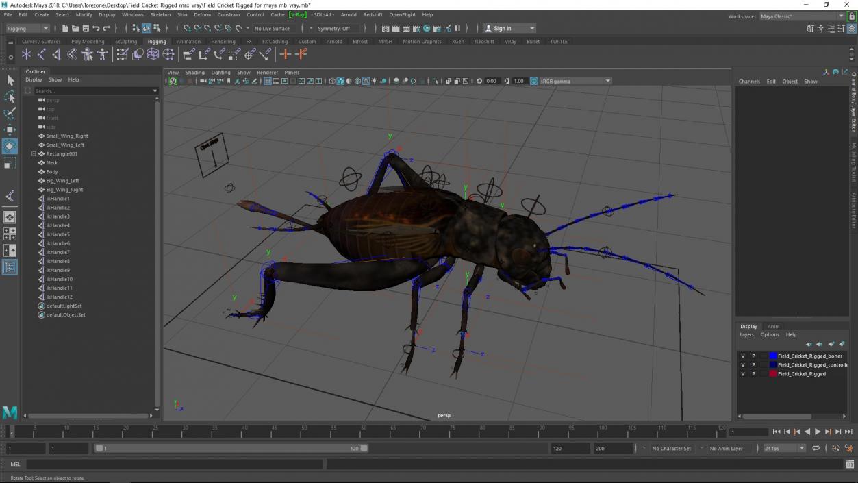 Field Cricket Rigged for Maya 3D model