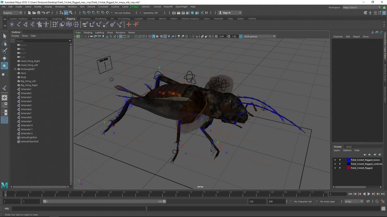 Field Cricket Rigged for Maya 3D model