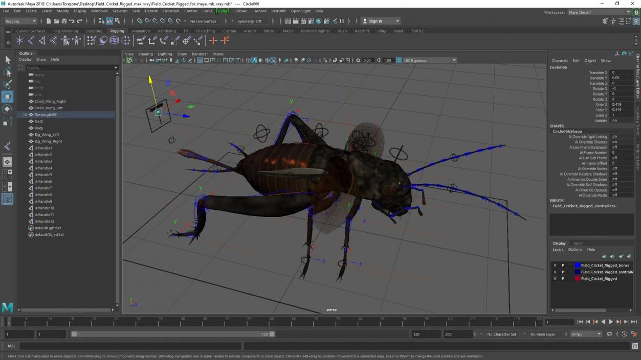 Field Cricket Rigged for Maya 3D model