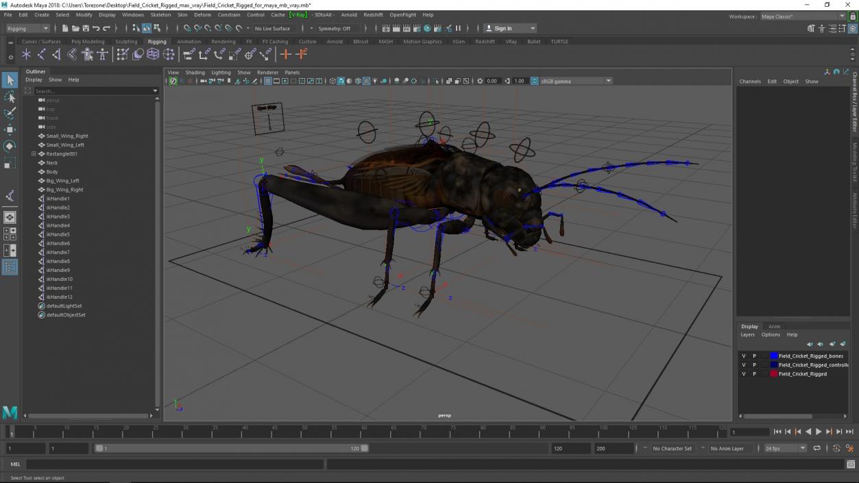 Field Cricket Rigged for Maya 3D model