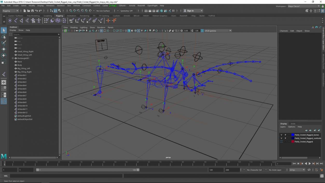 Field Cricket Rigged for Maya 3D model