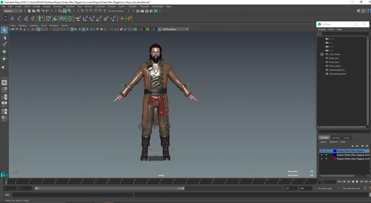 Rogue Pirate Man Rigged for Maya 3D