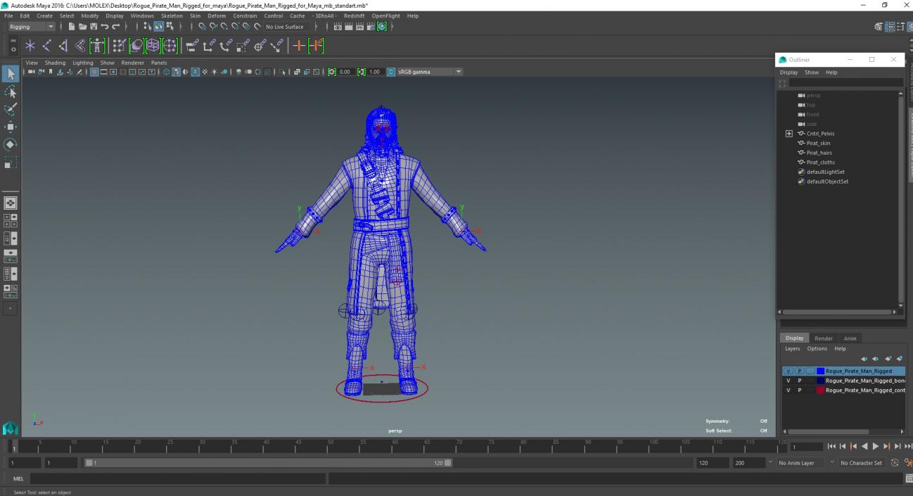 Rogue Pirate Man Rigged for Maya 3D