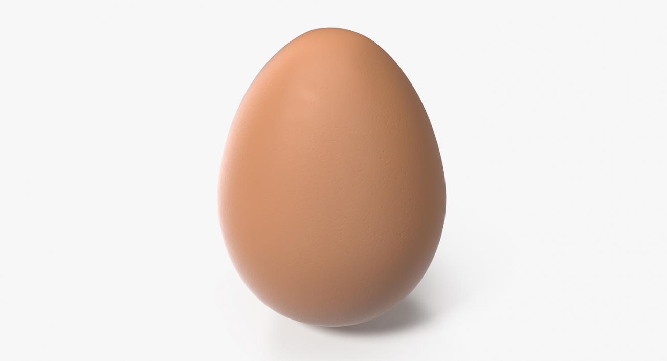 Brown Chicken Egg 3D