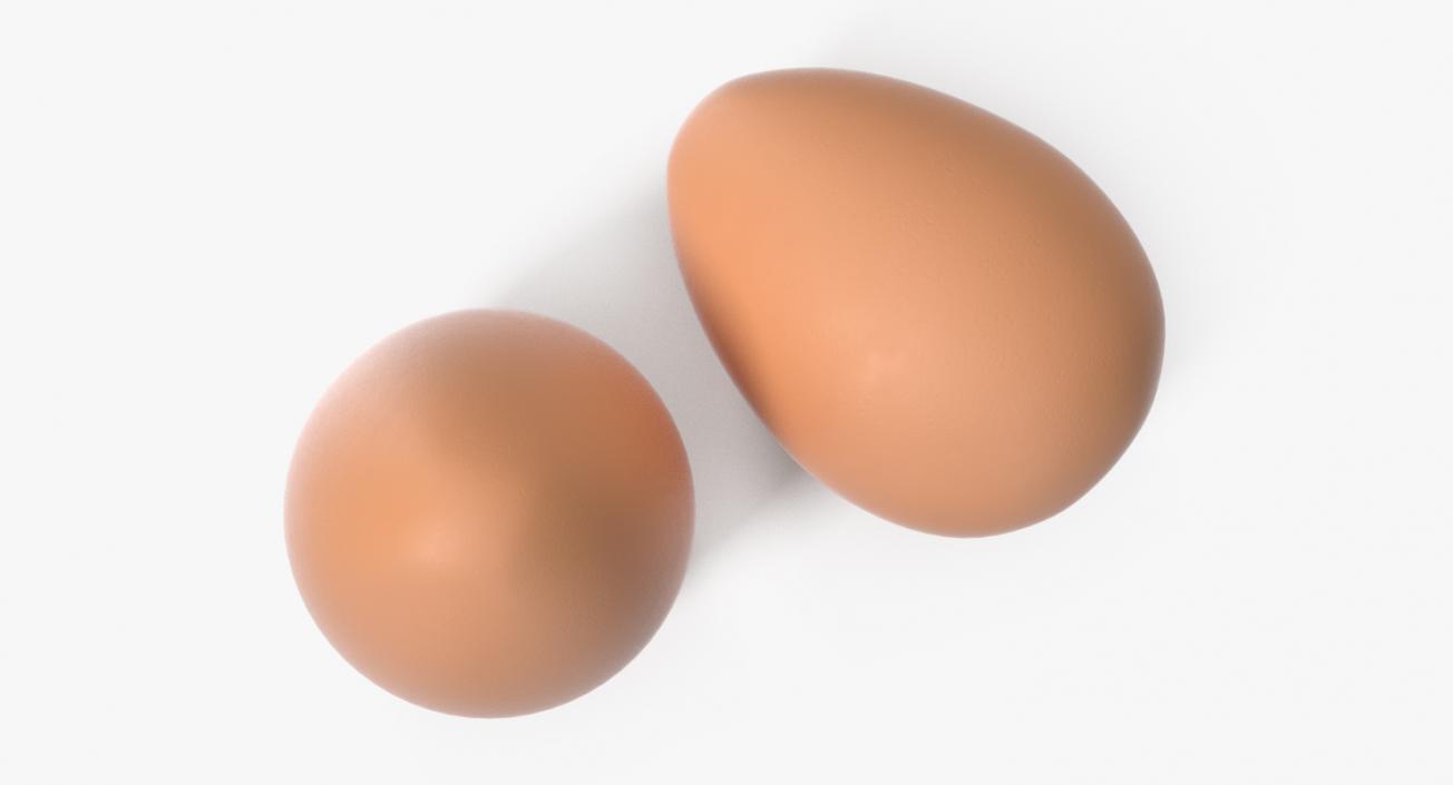 Brown Chicken Egg 3D