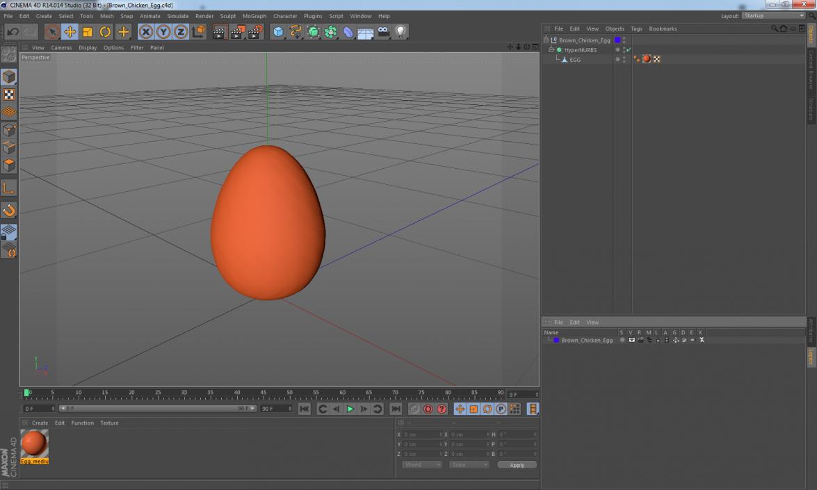 Brown Chicken Egg 3D