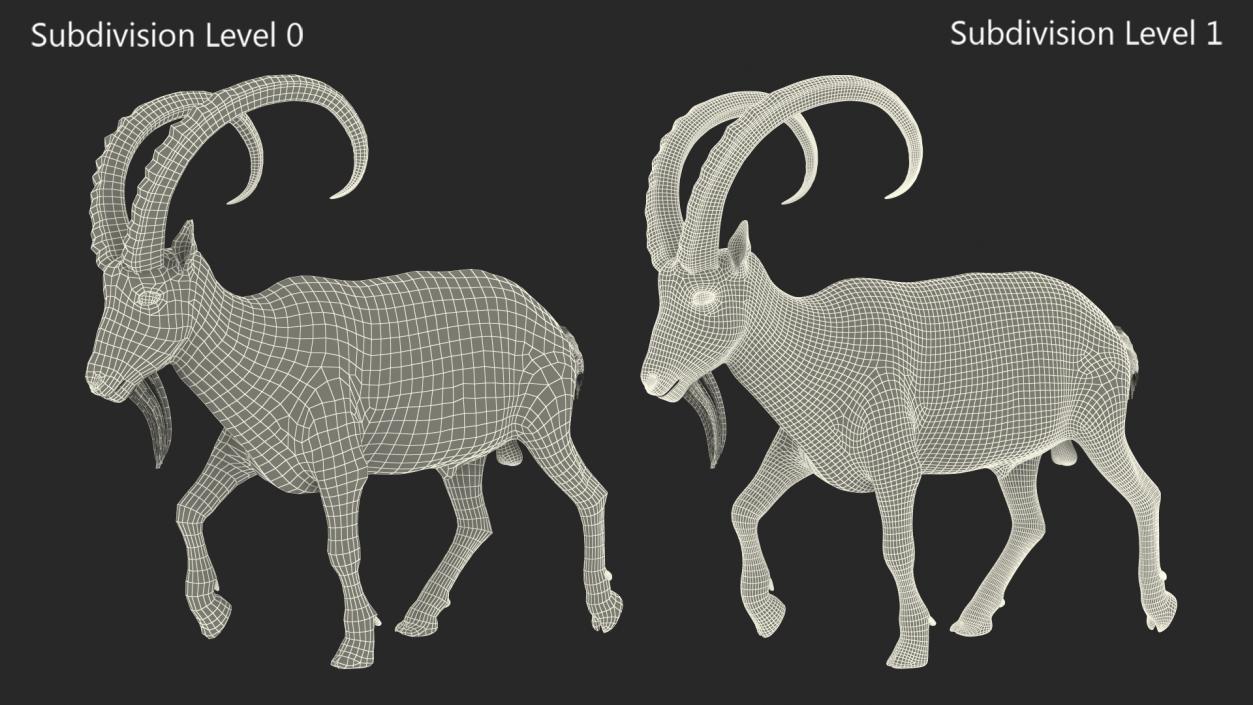 3D Alpine Ibex in Walking Pose Fur