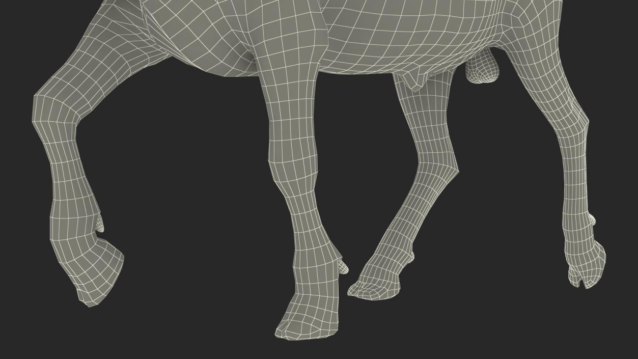 3D Alpine Ibex in Walking Pose Fur