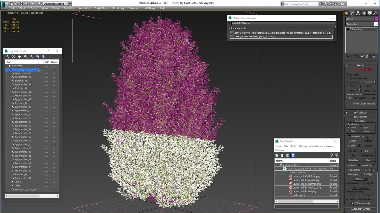 Sweet Bay Laurel Shrub 3D