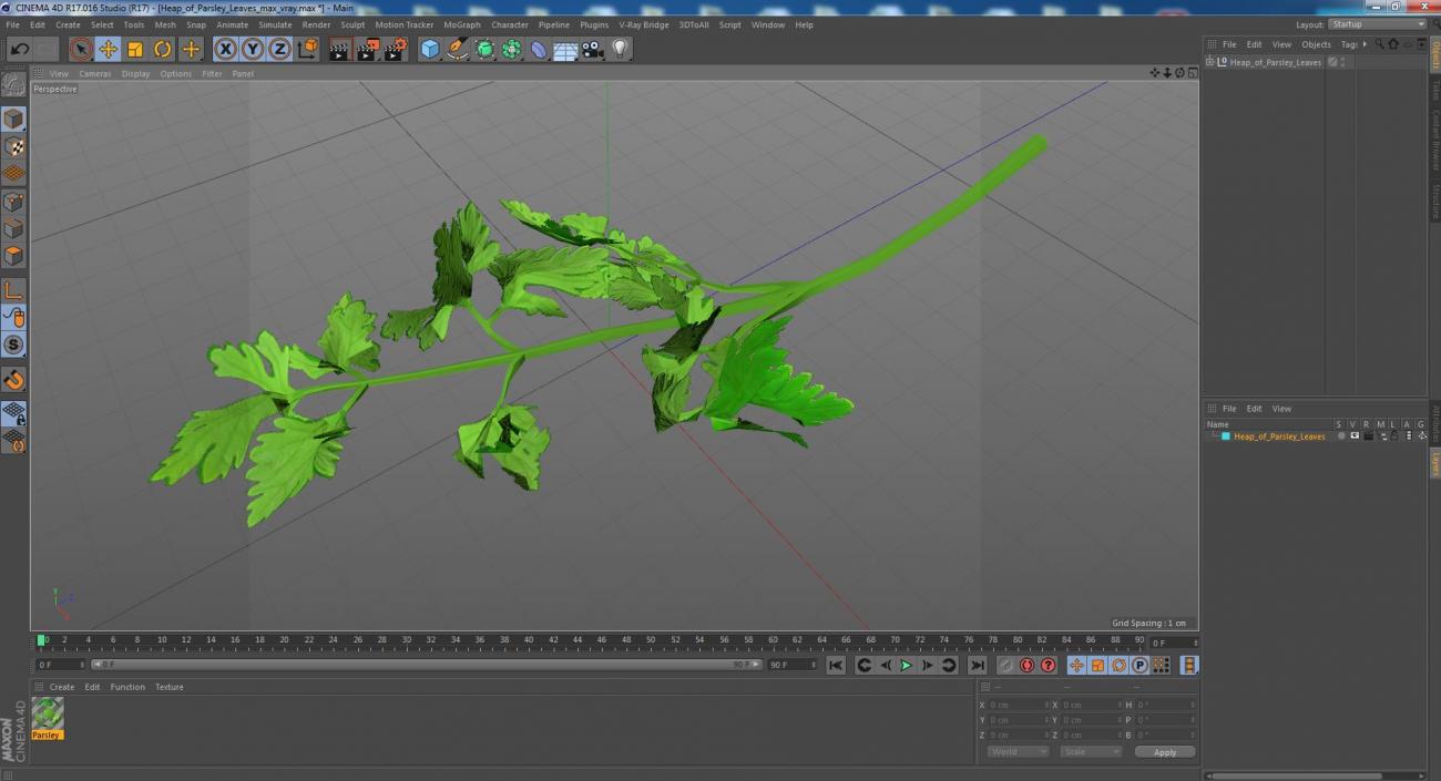 Heap of Parsley Leaves 3D