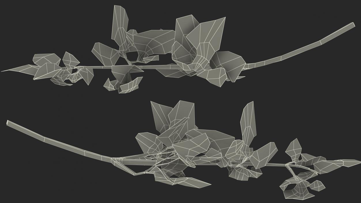 Heap of Parsley Leaves 3D