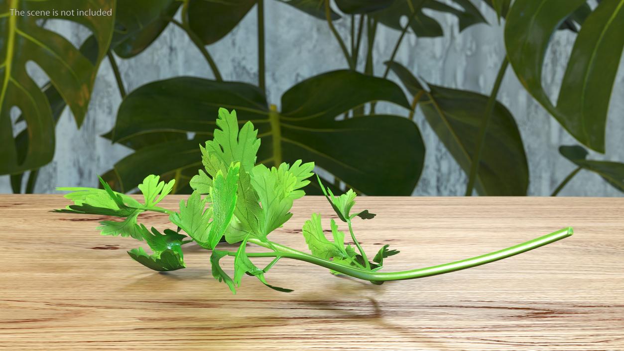 Heap of Parsley Leaves 3D