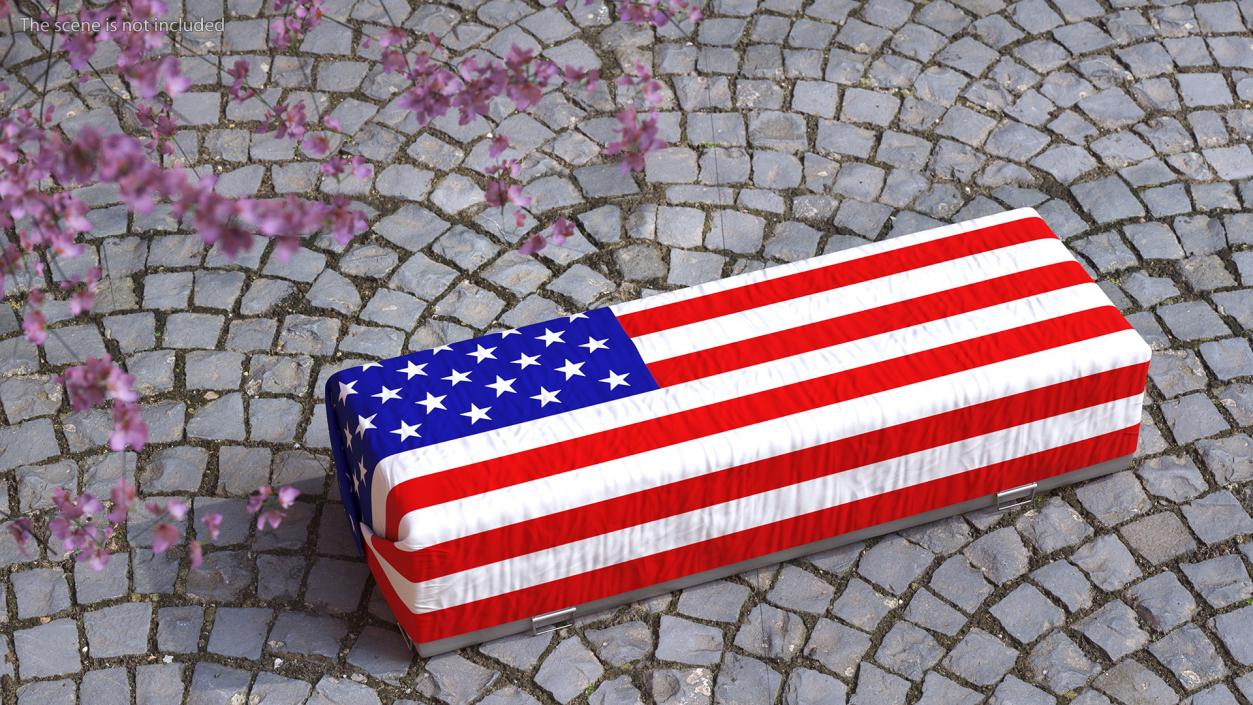 3D Flag Draped US Army Casket