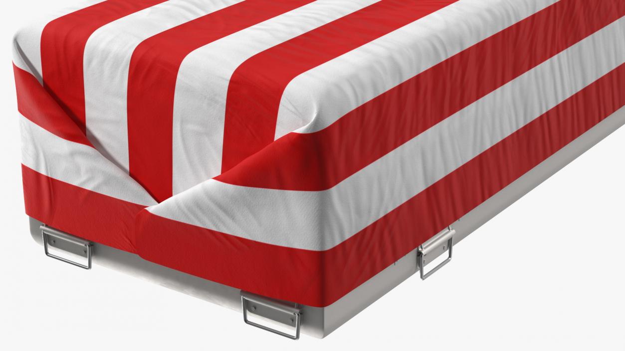 3D Flag Draped US Army Casket