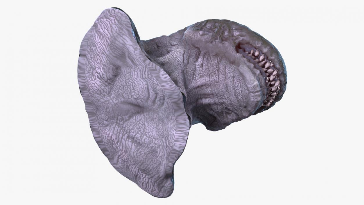 3D Monster Beast Head model