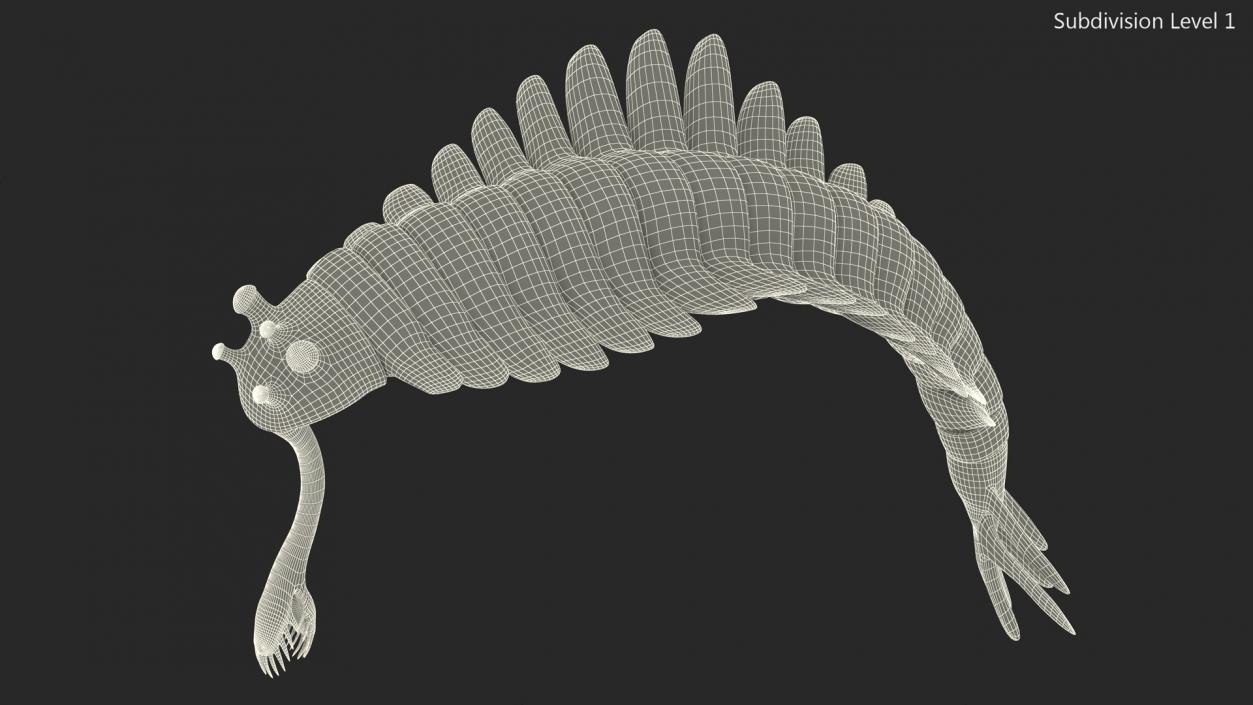 Green Opabinia Flip 3D model