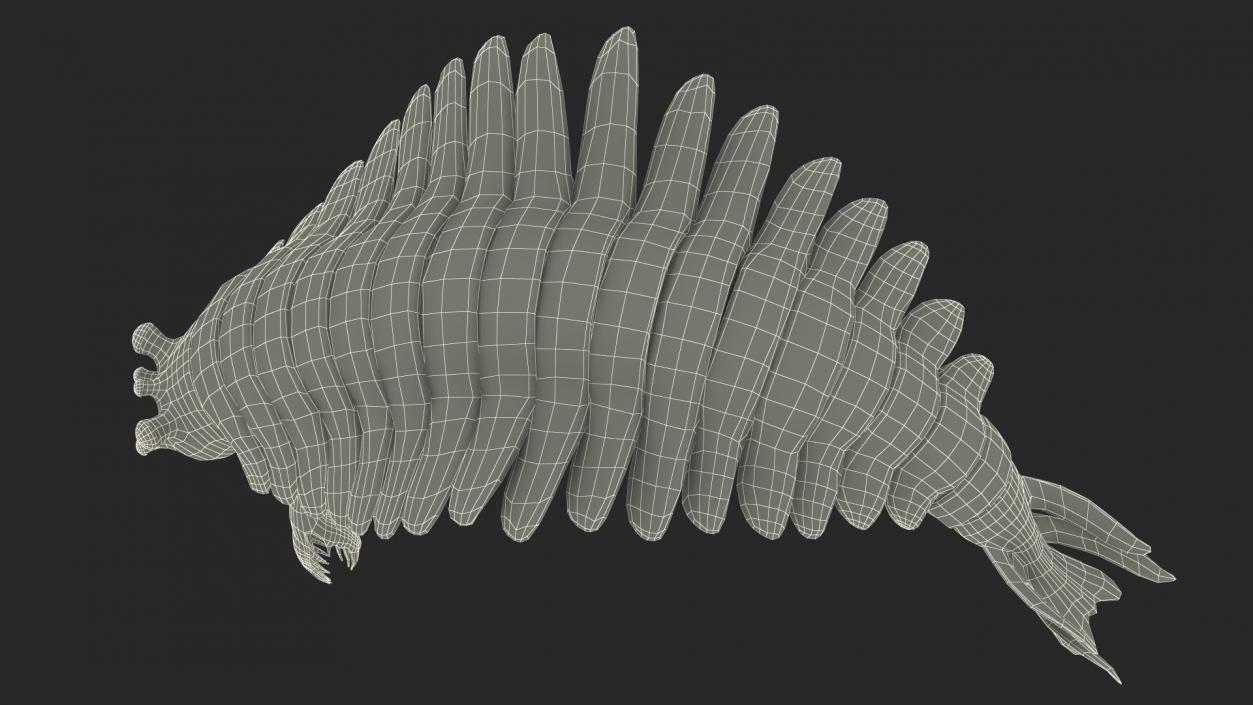 Green Opabinia Flip 3D model