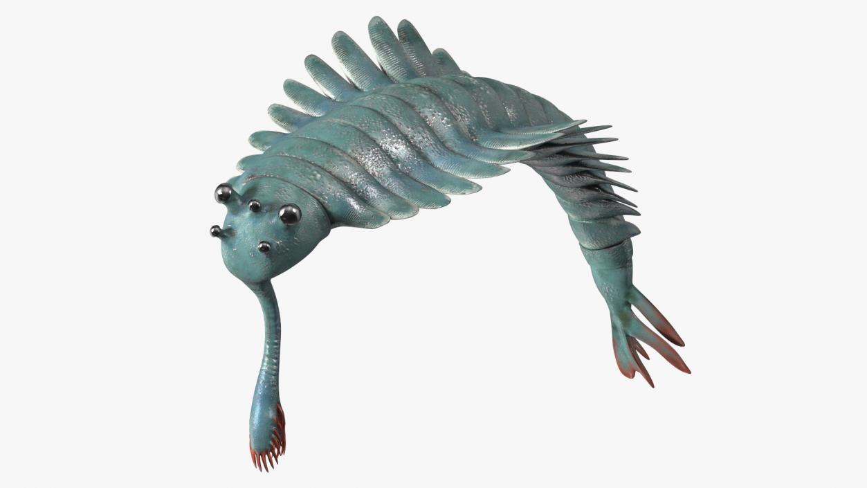 Green Opabinia Flip 3D model