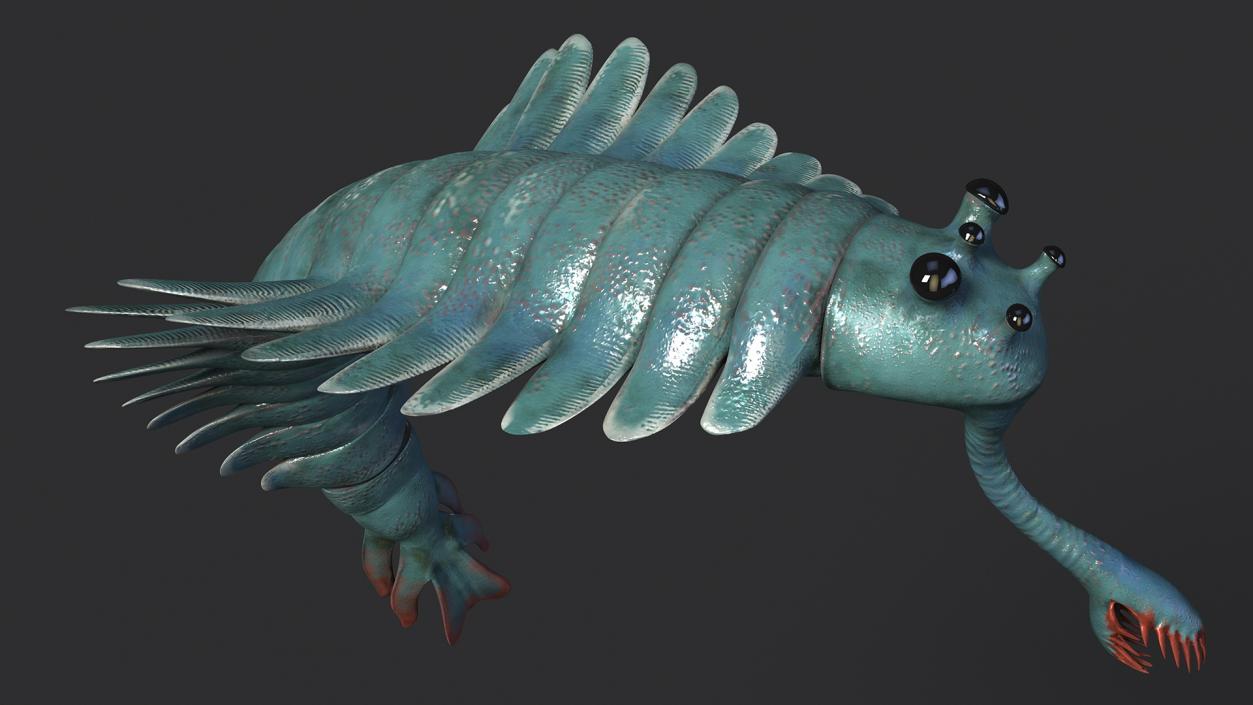 Green Opabinia Flip 3D model