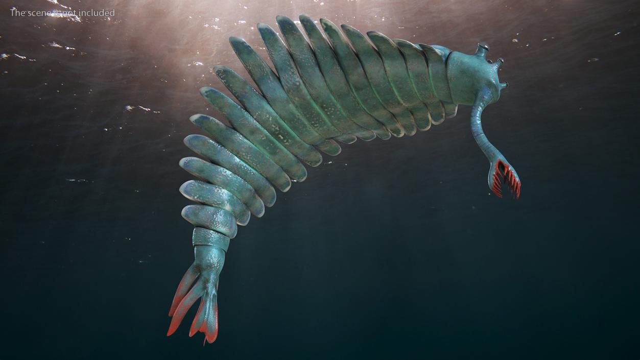 Green Opabinia Flip 3D model