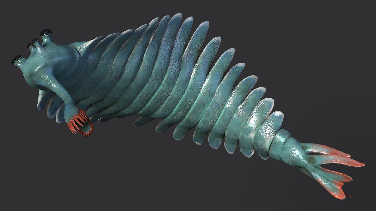 Green Opabinia Flip 3D model