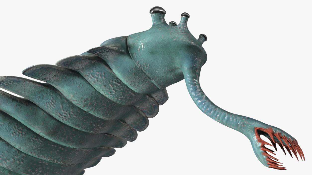 Green Opabinia Flip 3D model