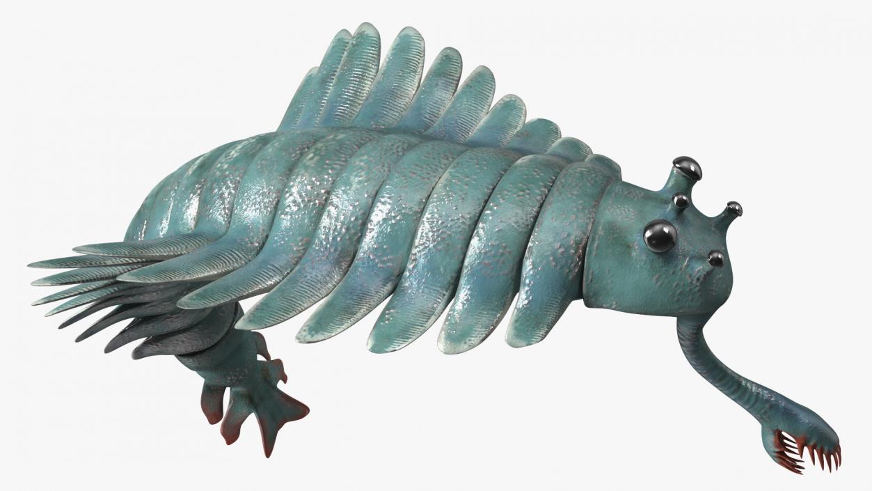 Green Opabinia Flip 3D model