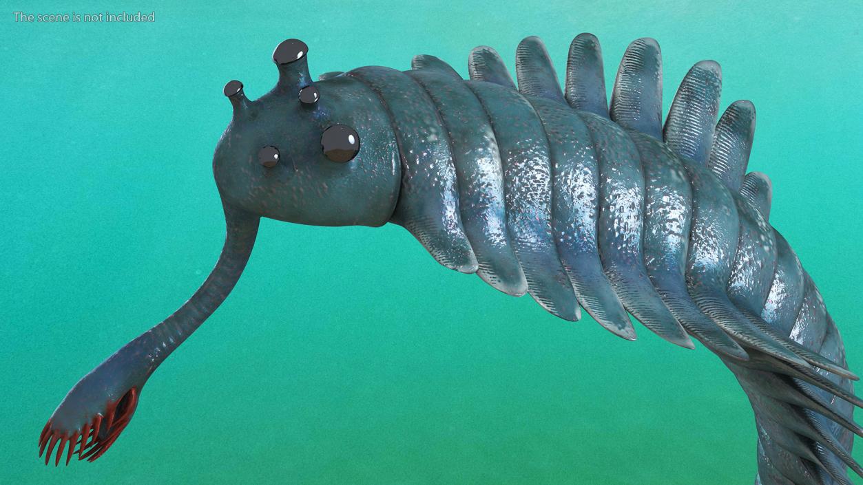 Green Opabinia Flip 3D model