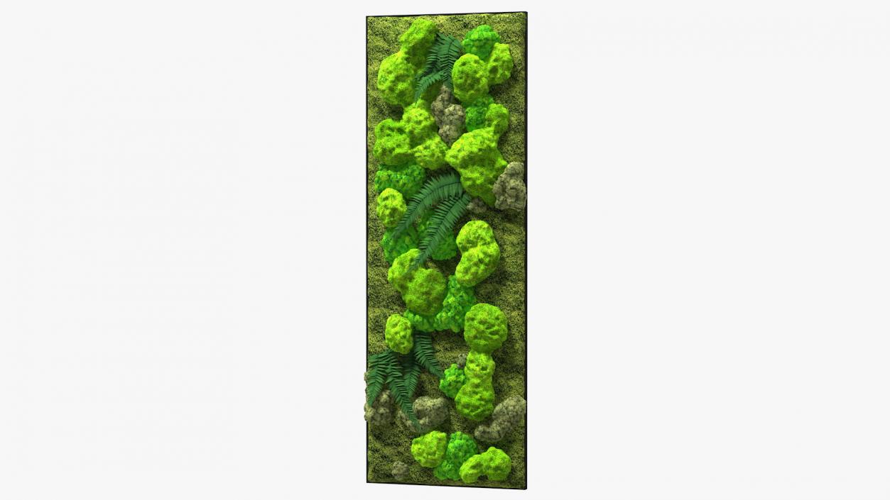 Green Moss Wall with Preserved Plants 3D