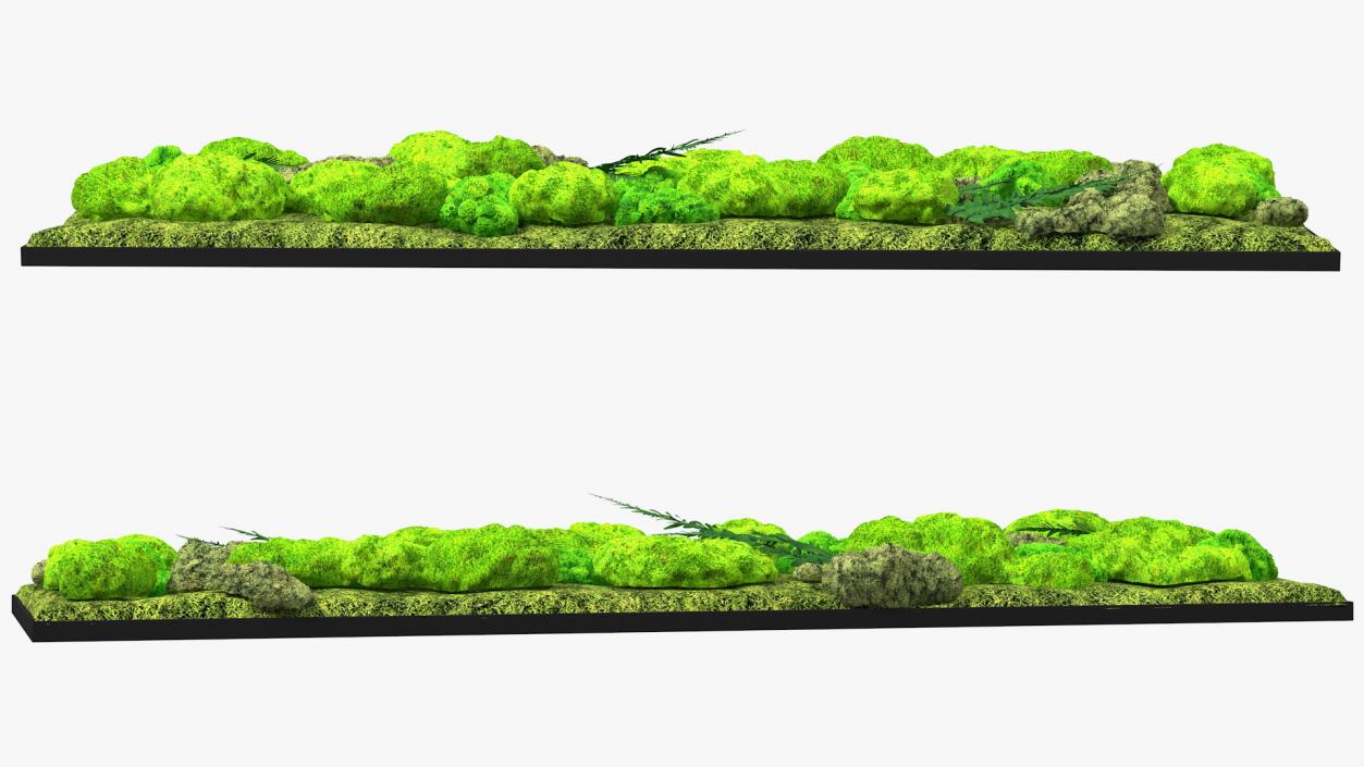 Green Moss Wall with Preserved Plants 3D