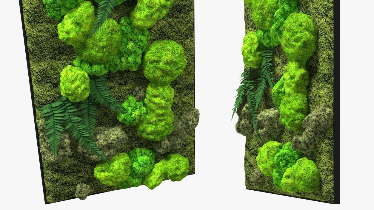 Green Moss Wall with Preserved Plants 3D