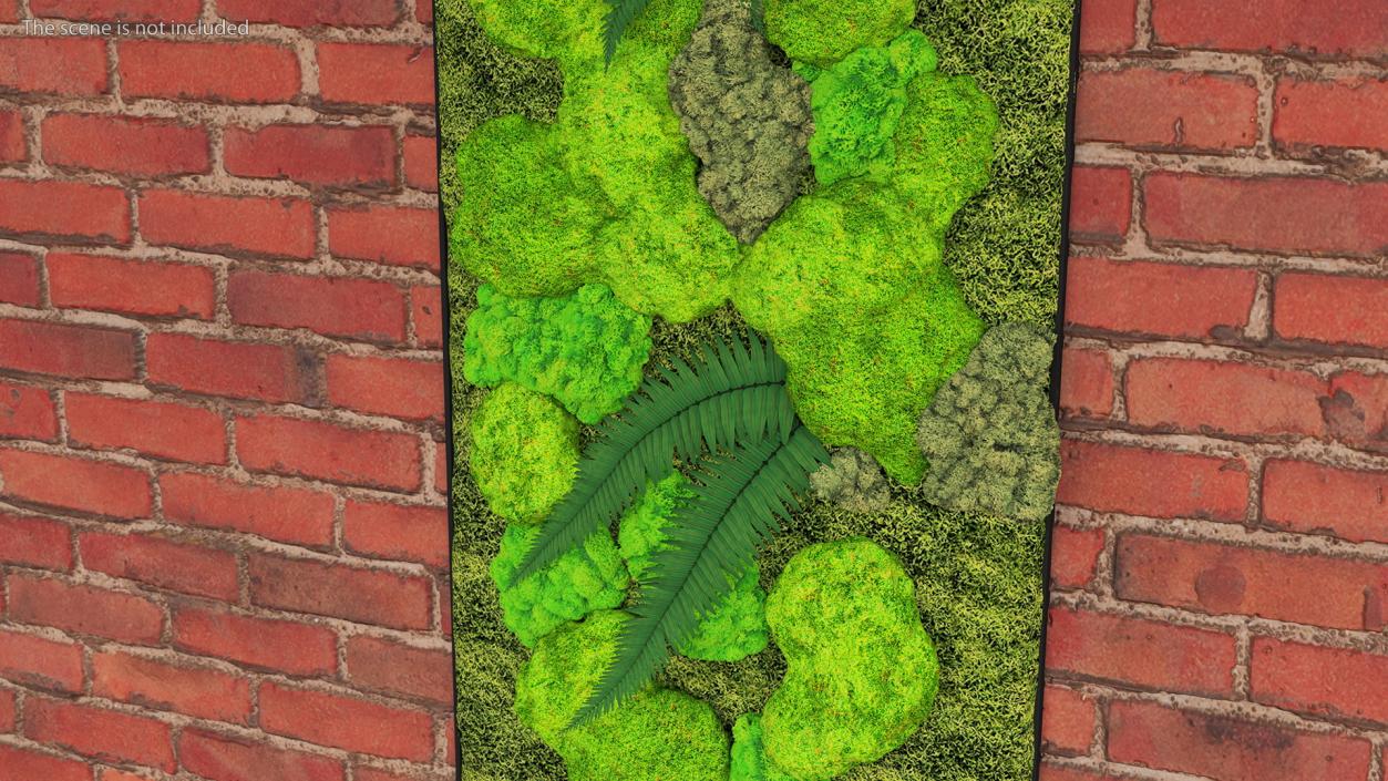 Green Moss Wall with Preserved Plants 3D