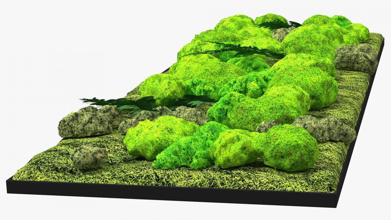 Green Moss Wall with Preserved Plants 3D