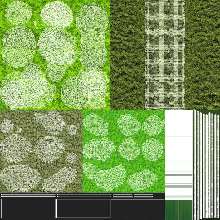 Green Moss Wall with Preserved Plants 3D